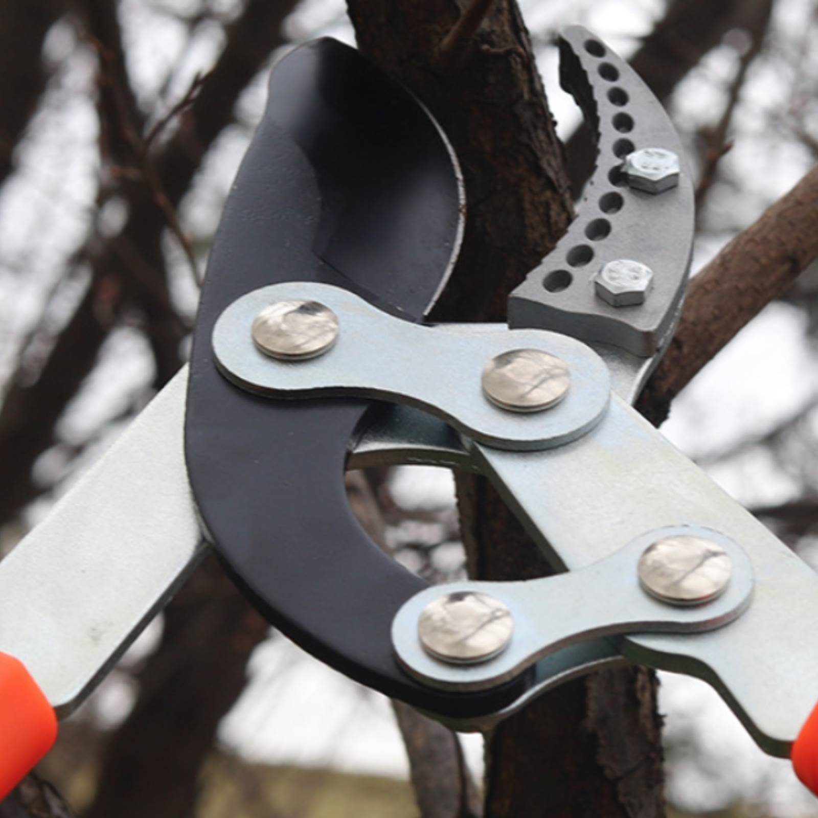 Pruning Shears - Telescopic Branch Pruners Sharp Blade Sturdy