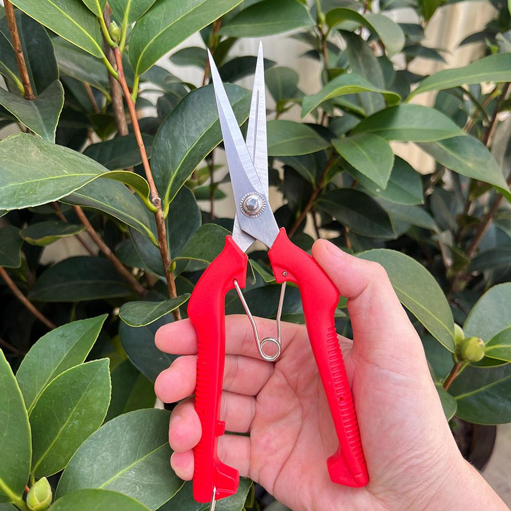 Essential Gardening Tools - Pro Garden Pruning Shears Lengthened Tree