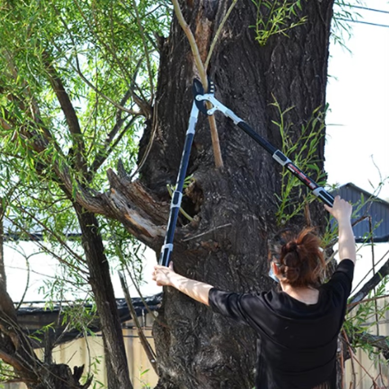 High carbon steel, garden long - Gardening Hand Tools Japanese recension och pris