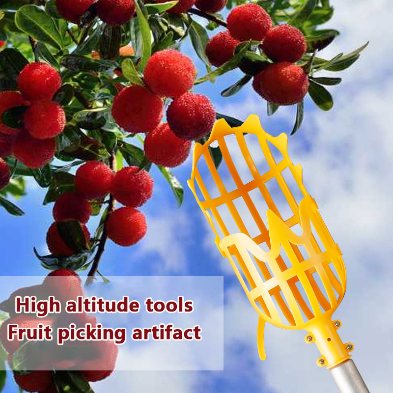 Picking Loquat Picking Bayberr - Gardening Tools Organizer recension och pris