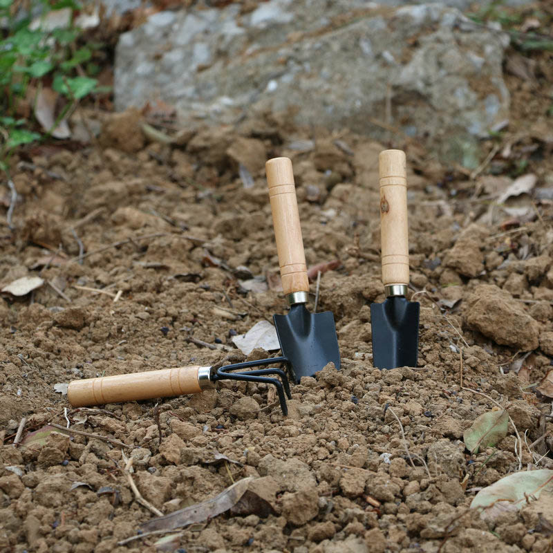 3Pcs/Set Mini Garden Tool Set  - Gardening Tools For Weeds recension och pris