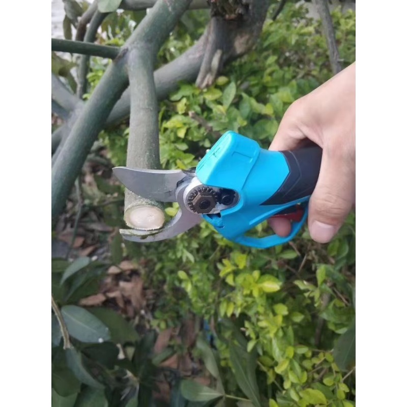 Hot Sale Factory Sales High Ef - Pruning Shears recension och pris