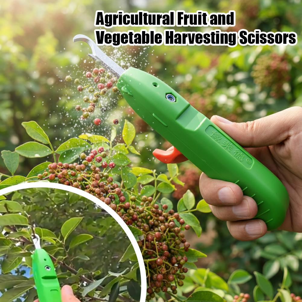 Fruit And Vegetable Picking Sh - Essential Gardening Tools recension och pris
