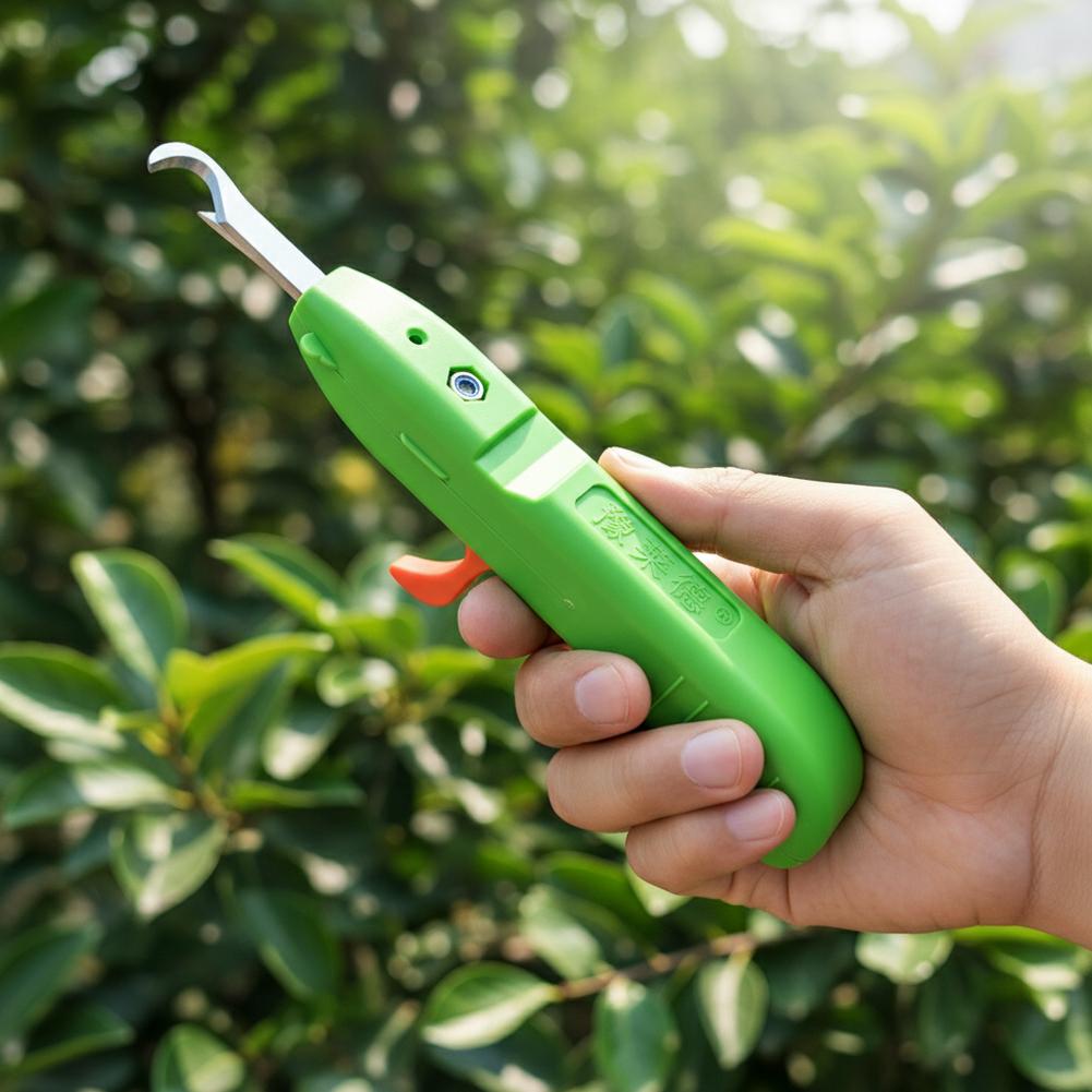 Fruit And Vegetable Picking Sh - Essential Gardening Tools recension och pris