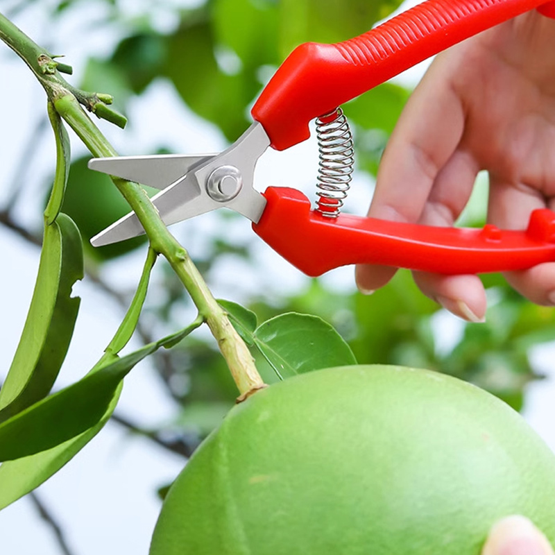 One-handed Scissors Pruning Sh - Gardening Tools To Cut Branches recension och pris