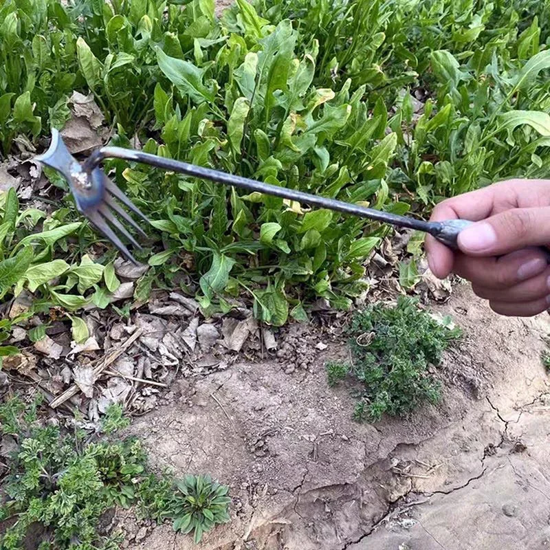 Garden Weeders Grass Hand Weed - Gardening Tools For Weeds recension och pris