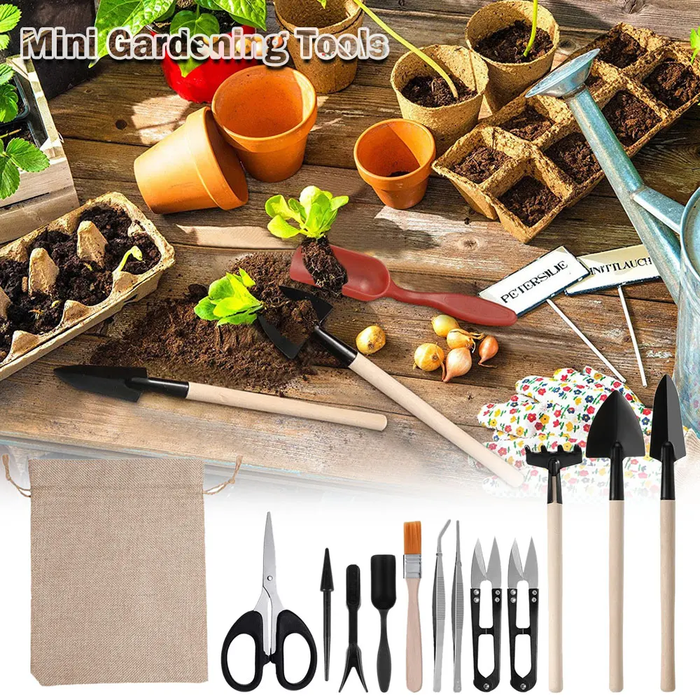 13PCS Succulent Plants Tool Se - Gardening Tools Sale recension och pris