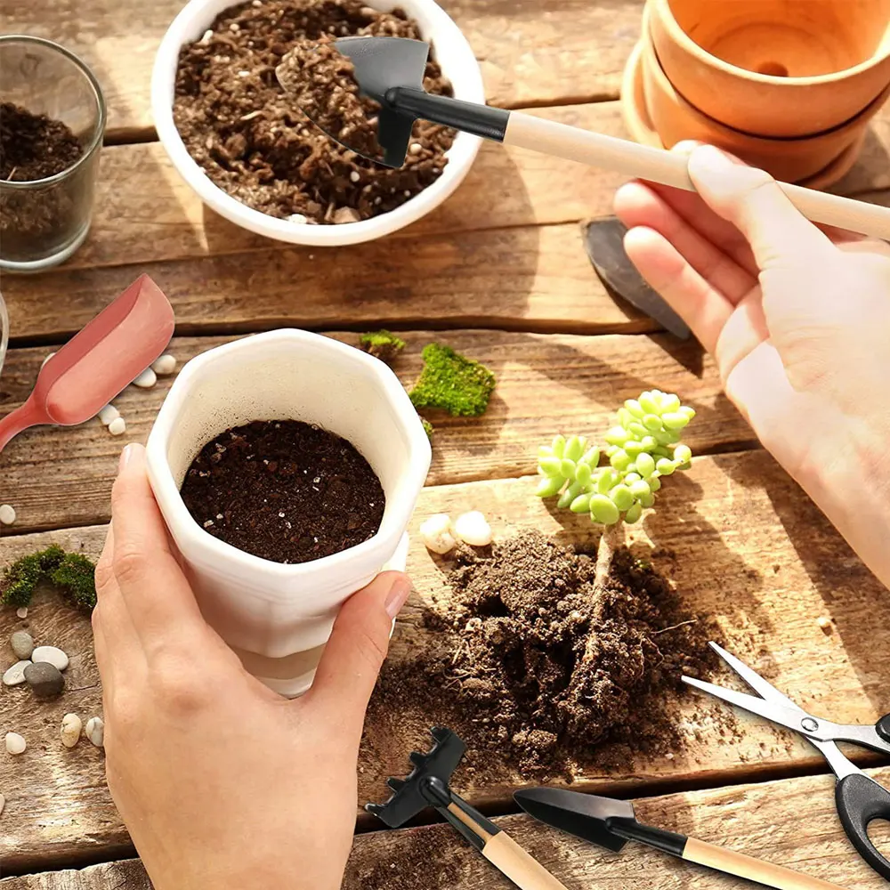 13PCS Succulent Plants Tool Se - Gardening Tools Sale recension och pris