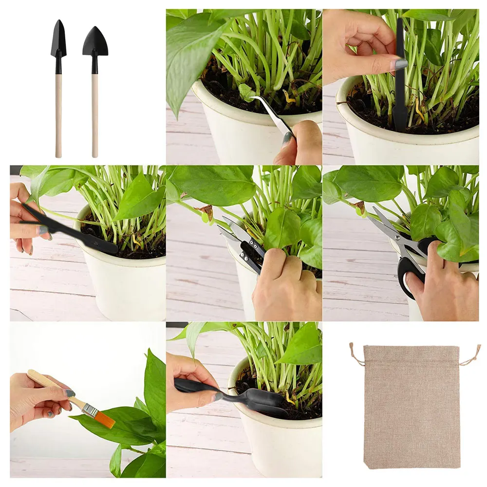 13PCS Succulent Plants Tool Se - Gardening Tools Sale recension och pris