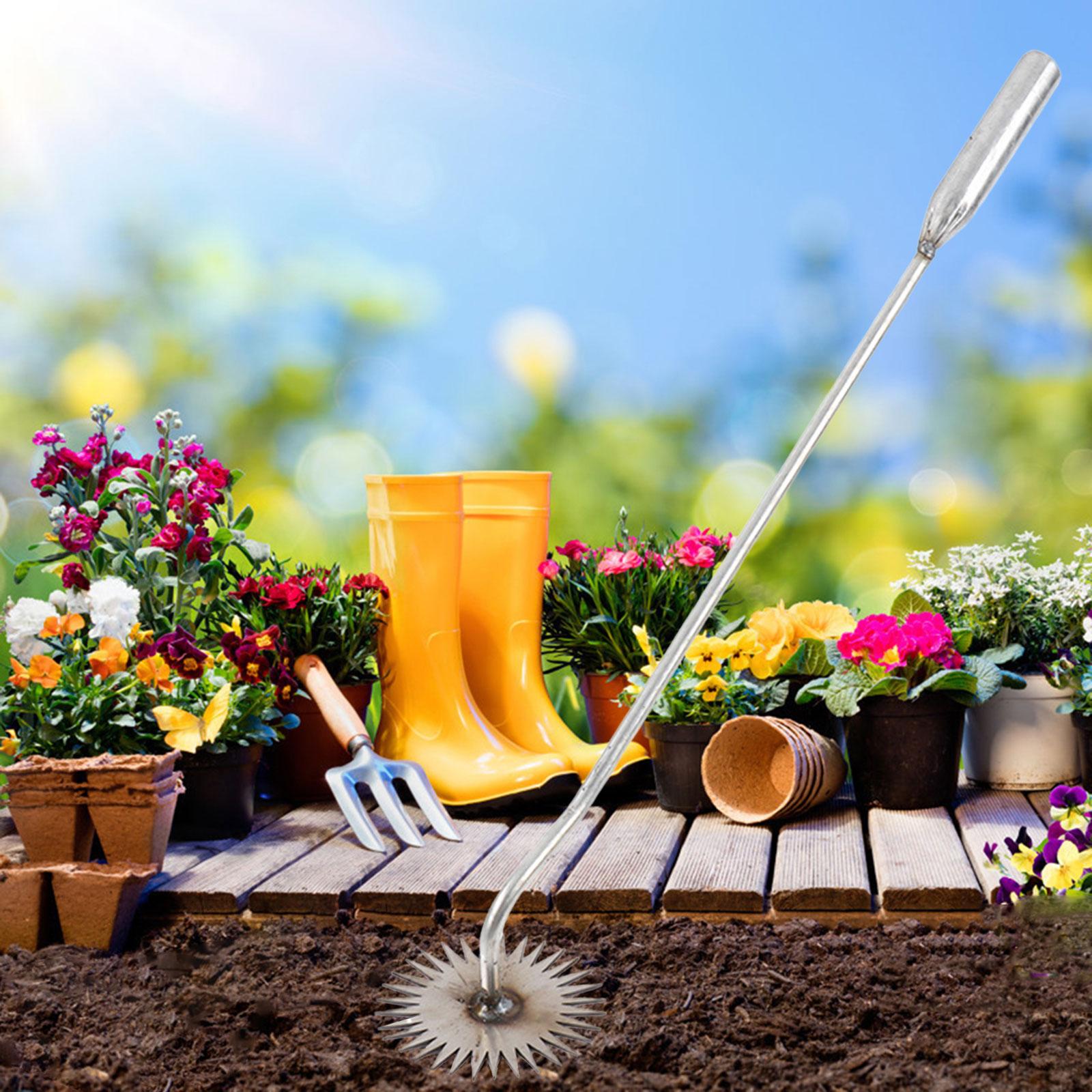 Weeds Removal Tool Gardening T - Gardening Tools To Remove Grass recension och pris