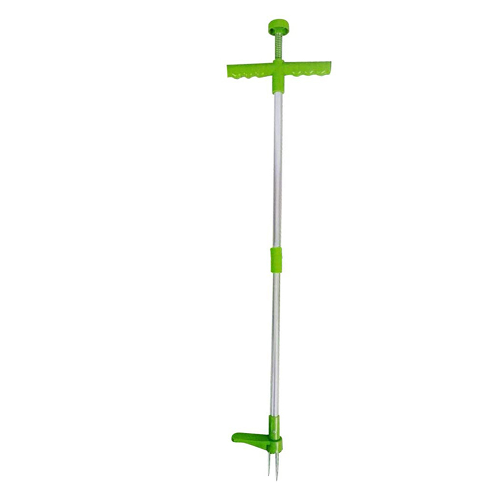 Easily Carrying Remover Grass  - Gardening Tools To Remove Grass recension och pris