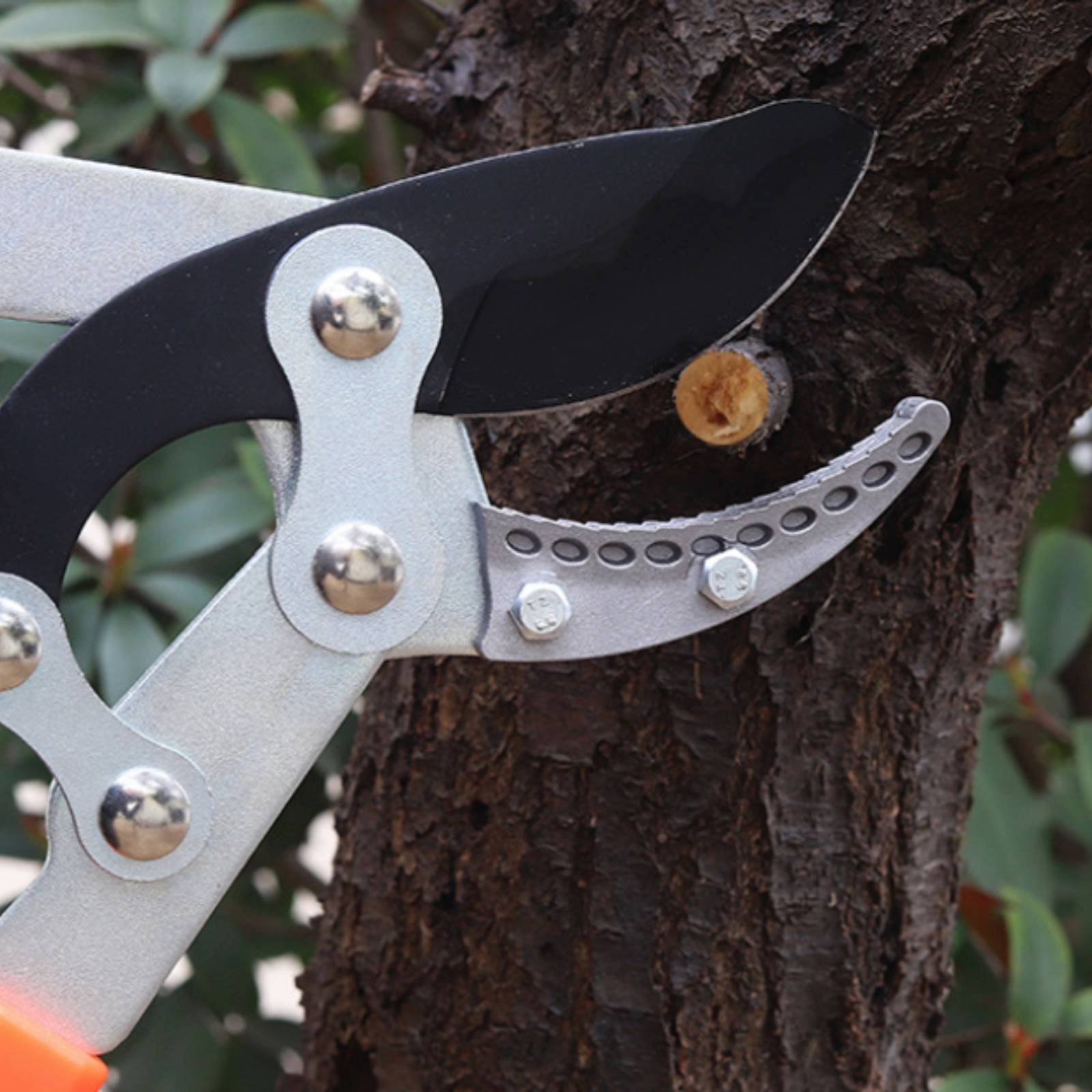 Telescopic Branch Pruners Shar - Pruning Shears recension och pris