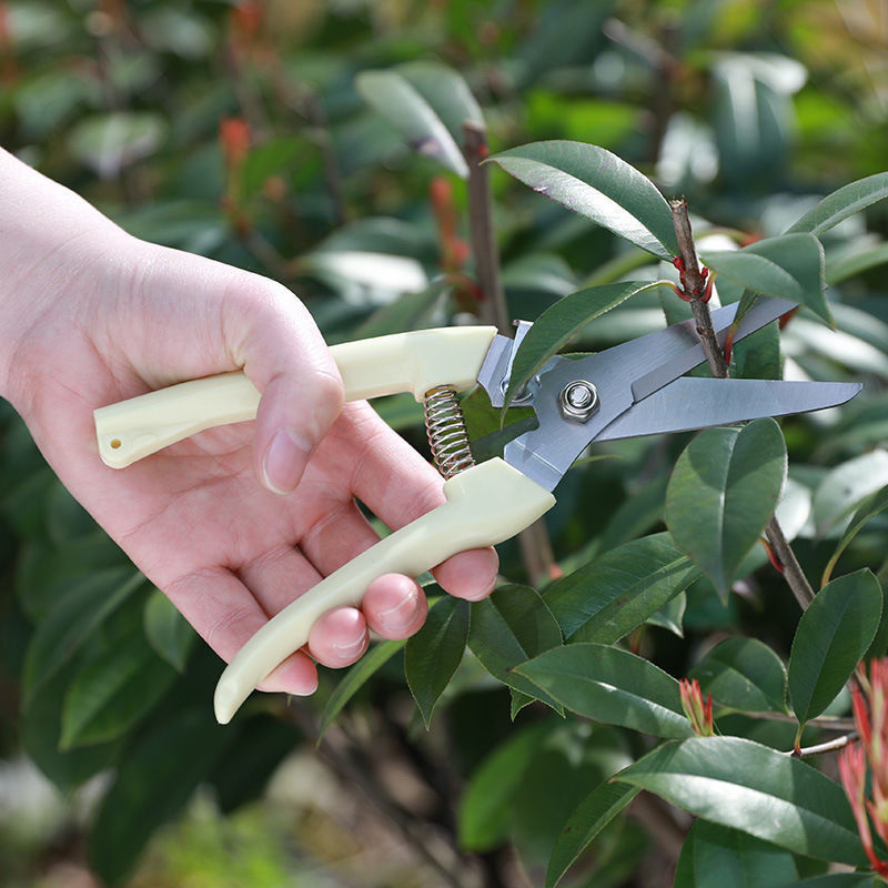 1PC Stainless Steel Pruning Sc - Gardening Tools To Cut Branches recension och pris