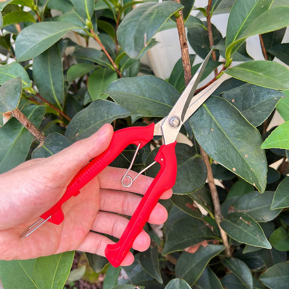 Pro Garden Pruning Shears Leng - Essential Gardening Tools recension och pris