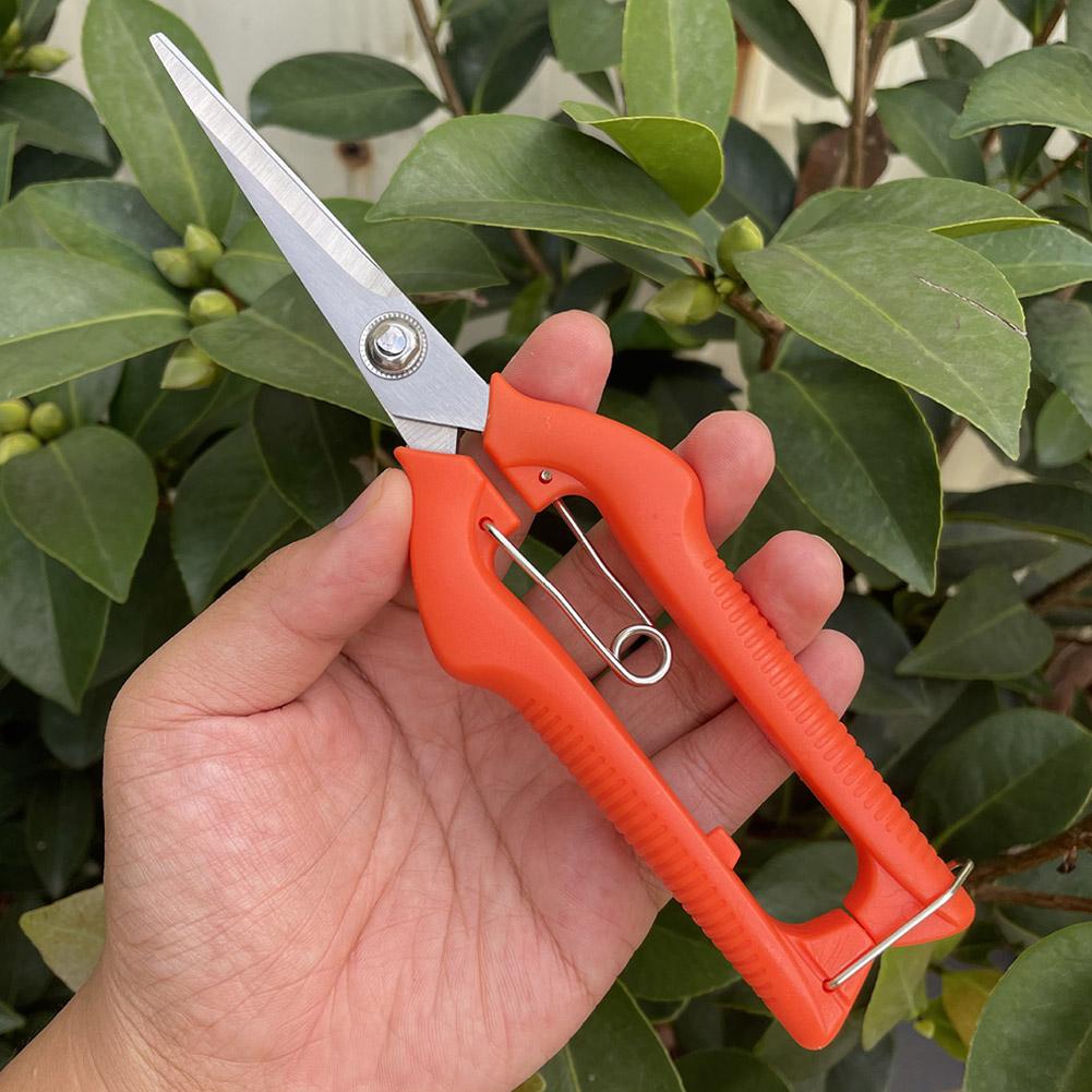Pro Garden Pruning Shears Leng - Essential Gardening Tools recension och pris