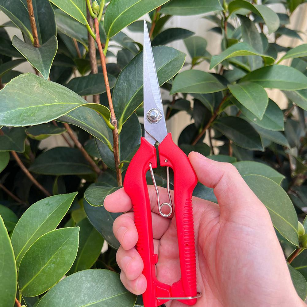 Pro Garden Pruning Shears Leng - Essential Gardening Tools recension och pris