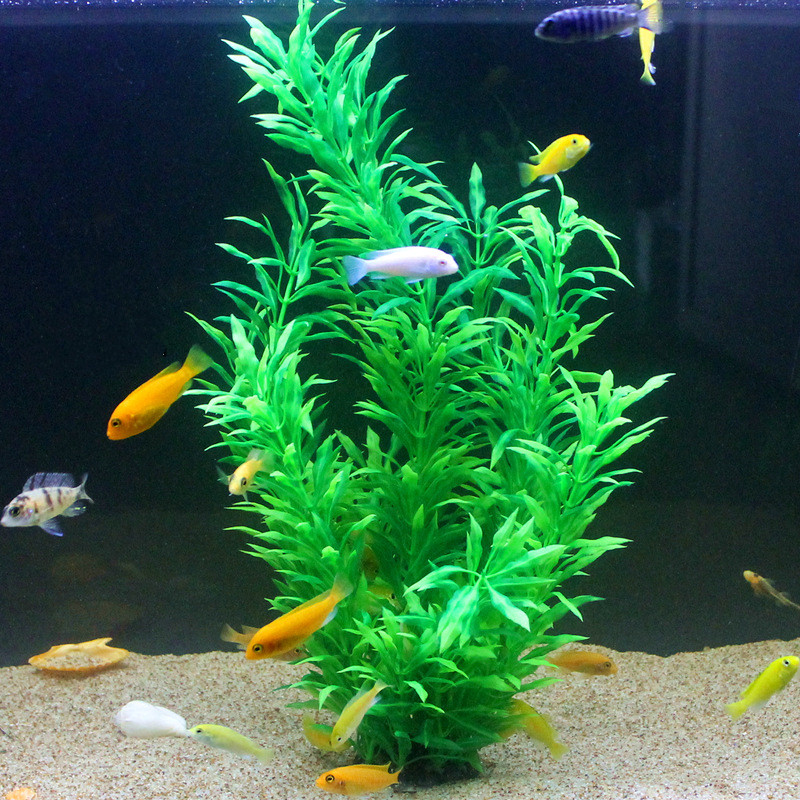 50CM Artificial Fish Tank Rare - Aquaponics Fish Tank recension och pris