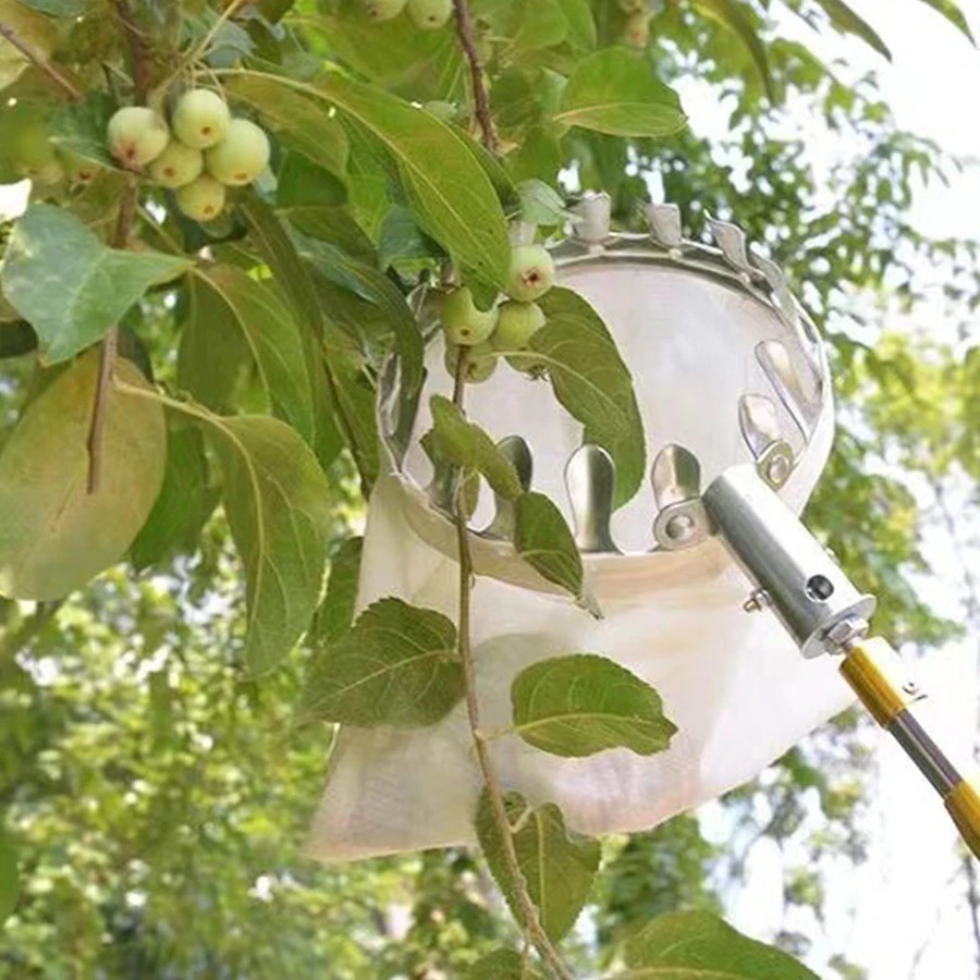 Professional Berry Picker Tool - Gardening Tools Organizer recension och pris