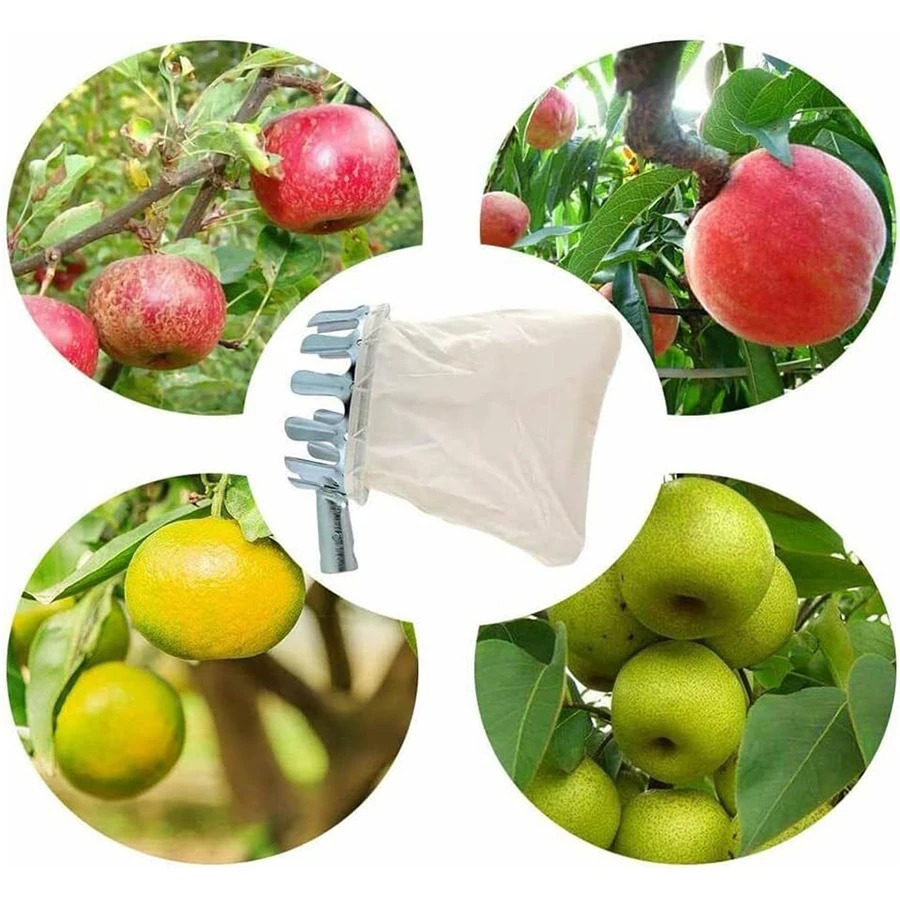 Professional Berry Picker Tool - Gardening Tools Organizer recension och pris