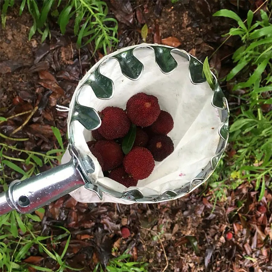 Professional Berry Picker Tool - Gardening Tools Organizer recension och pris