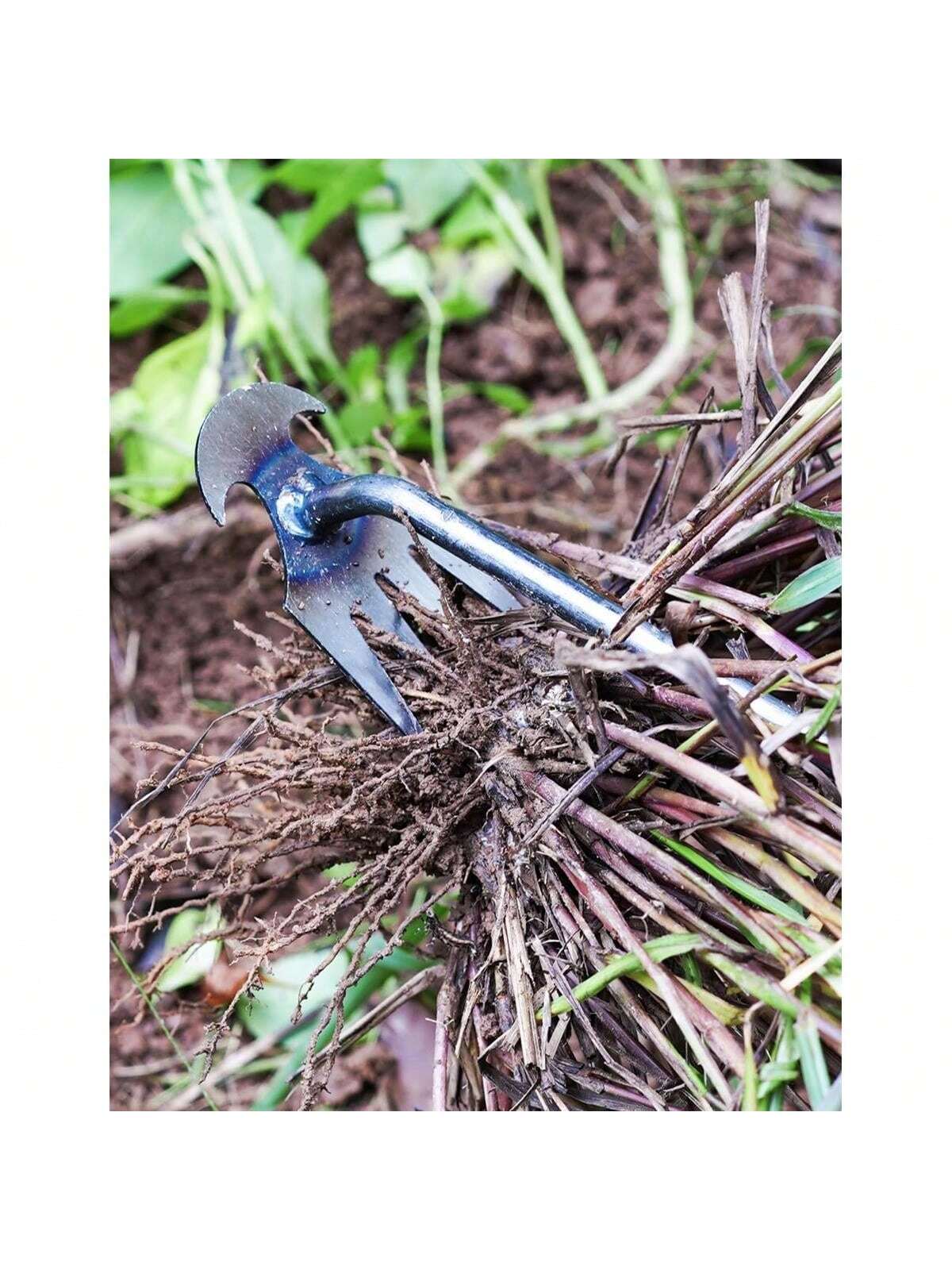 4 Teeths - Multifunctional Han - Gardening Tools For Weeds recension och pris