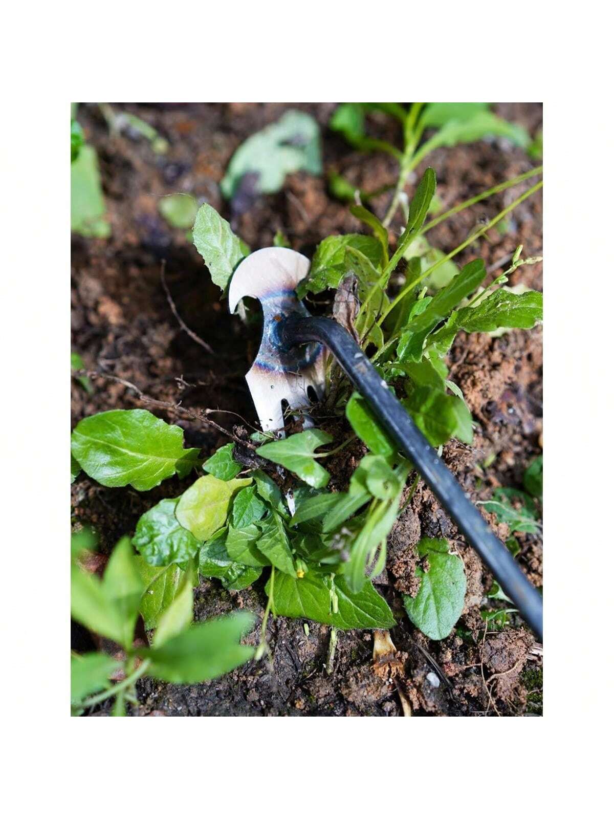 4 Teeths - Multifunctional Han - Gardening Tools For Weeds recension och pris