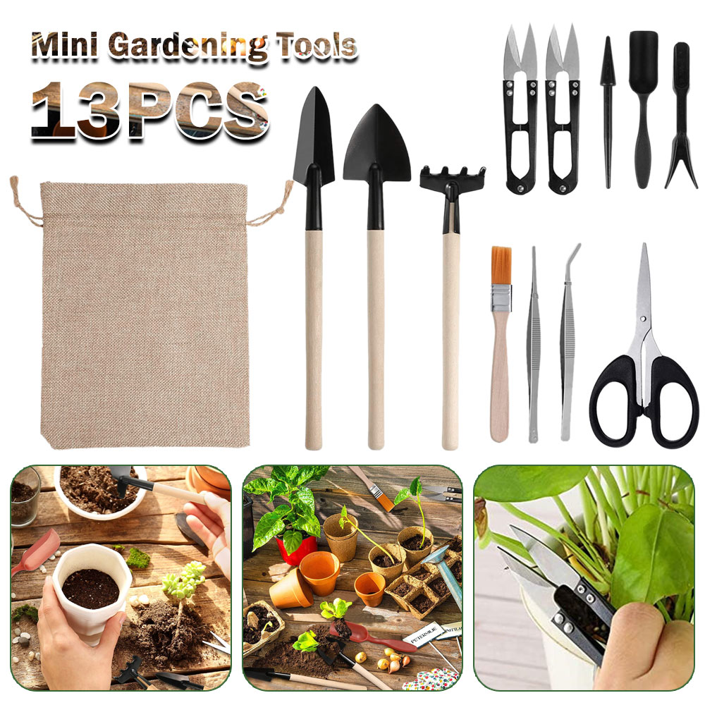 Succulent Plants Tools Mini Ga - Gardening Tools Sale recension och pris