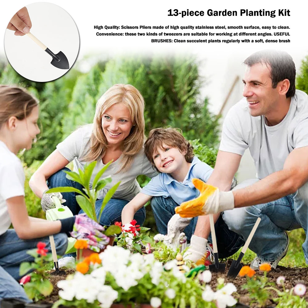 Succulent Plants Tools Mini Ga - Gardening Tools Sale recension och pris